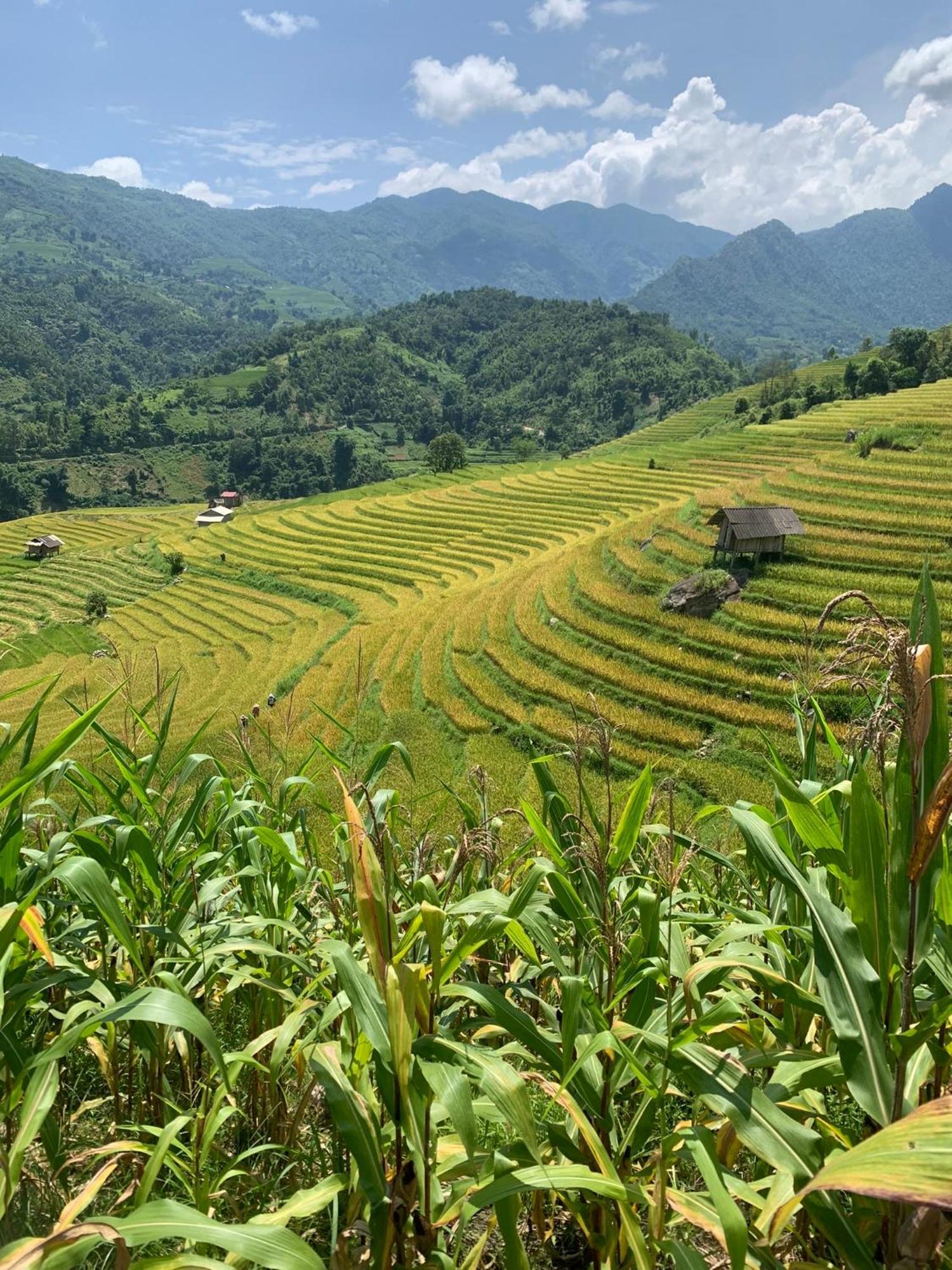 شقة The Zen House Sapa المظهر الخارجي الصورة